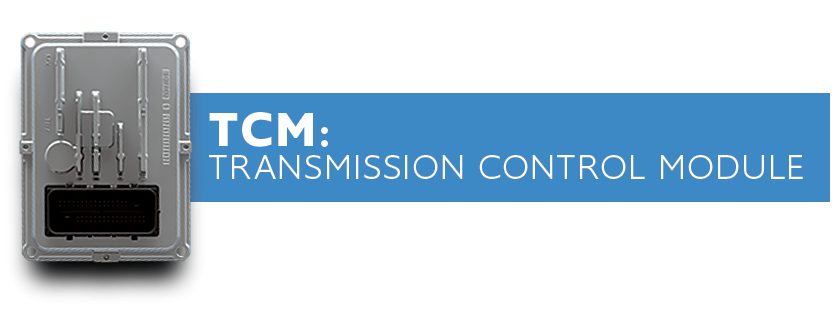 TCM Transmission Control Module